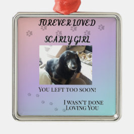 Pfotenabdrücke quer durch den Regenbogen-Tribut Ornament Aus Metall