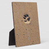 Pfotendrucke in Sand Fotoplatte (Seite)