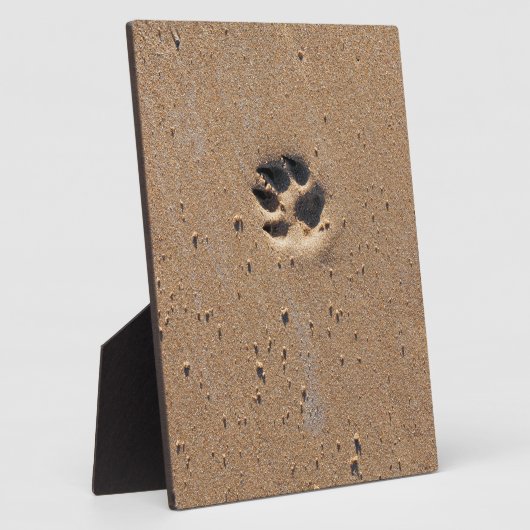 Pfotendrucke in Sand Fotoplatte (Seite)