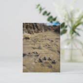 Pfotendrucke Postkarte (Stehend Vorderseite)