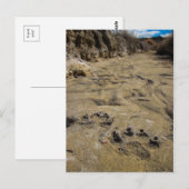 Pfotendrucke Postkarte (Vorne/Hinten)