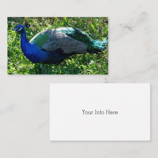 Pfund-Visitenkarten Visitenkarte (Vorne/Hinten)