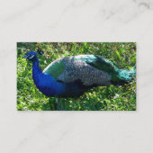 Pfund-Visitenkarten Visitenkarte (Vorderseite)