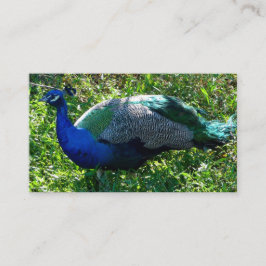 Pfund-Visitenkarten Visitenkarte