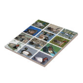 Pfütze duckt Logo Fliese (Seite)