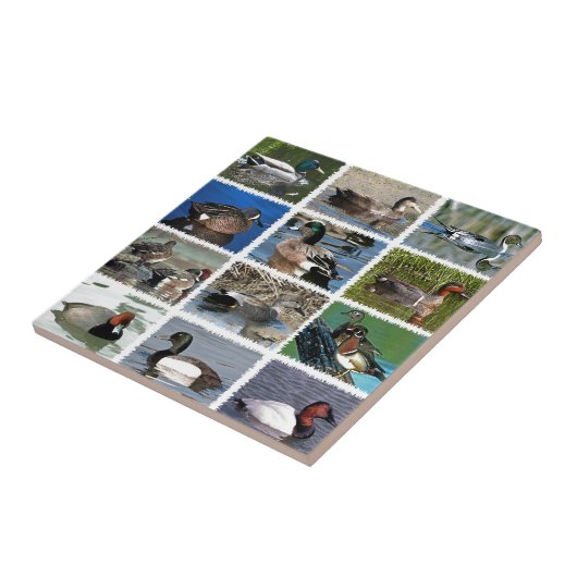 Pfütze duckt Logo Fliese (Seite)