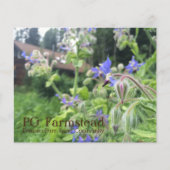 PG Farmstead-Flyer Flyer (Vorne)