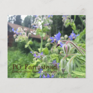 PG Farmstead-Flyer Flyer