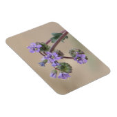 Phacelia Lila Wildblumen Magnet (Rechte Seite)