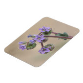 Phacelia Lila Wildblumen Magnet (Linke Seite)