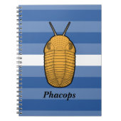 Phacops Trilobit - prähistorisches Tier Notizblock (Vorderseite)