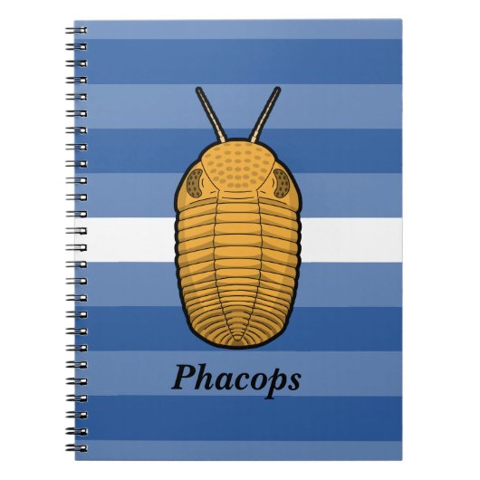 Phacops Trilobit - prähistorisches Tier Notizblock (Vorderseite)