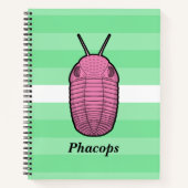 Phacops Trilobit - prähistorisches Tier Notizblock (Vorderseite)