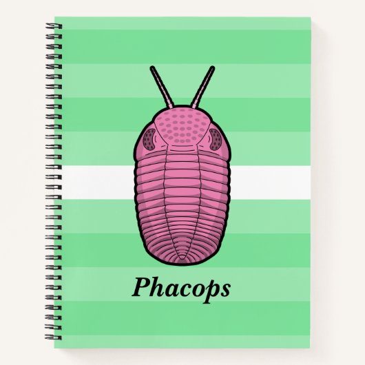 Phacops Trilobit - prähistorisches Tier Notizblock (Vorderseite)