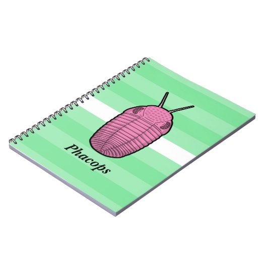 Phacops Trilobit - prähistorisches Tier Notizblock (Linke Seite)