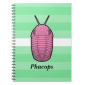 Phacops Trilobit - prähistorisches Tier Notizblock (Vorderseite)