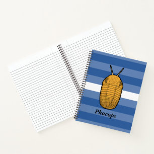 Phacops Trilobit - prähistorisches Tier Notizblock