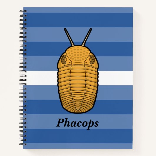 Phacops Trilobit - prähistorisches Tier Notizblock (Vorderseite)