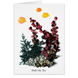 Phaedras Phantasies - unter dem Meer