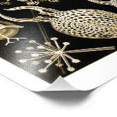 Phaeodarie | 61 Gold | Ernst Haeckel | Fotodruck (Ecke)