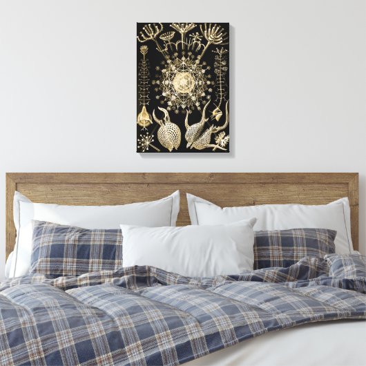 Phaeodarie | 61 Gold | Ernst Haeckel | Leinwanddruck (Insitu (Schlafzimmer))