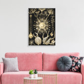 Phaeodarie | 61 Gold | Ernst Haeckel | Leinwanddruck (Insitu (Wohnzimmer))