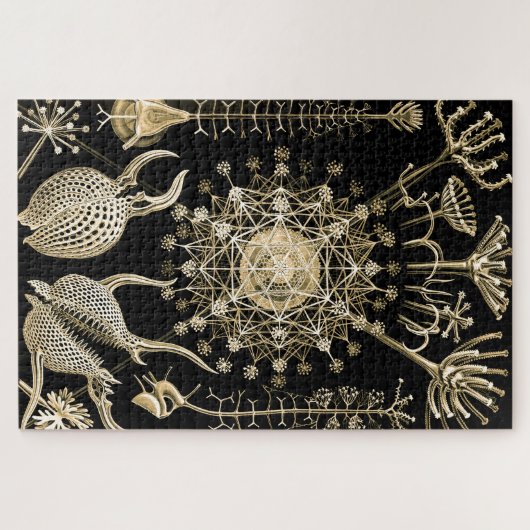 Phaeodarie | 61 Gold | Ernst Haeckel | Puzzle (Horizontal)