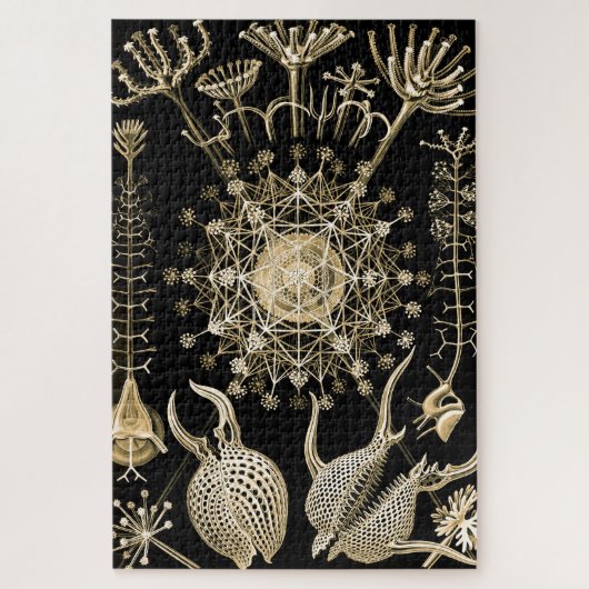 Phaeodarie | 61 Gold | Ernst Haeckel | Puzzle (Vertikal)