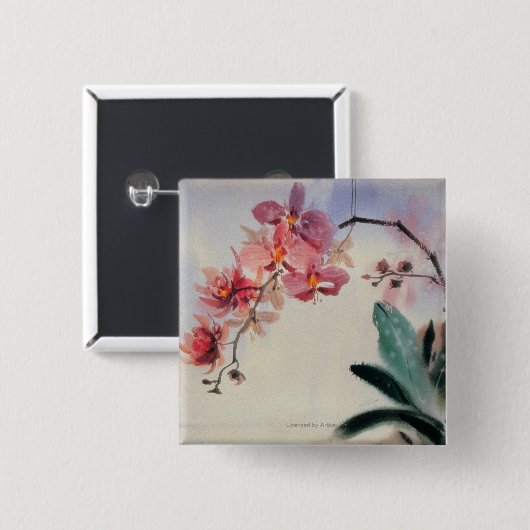 Phalaenopsis Button (Vorne & Hinten)