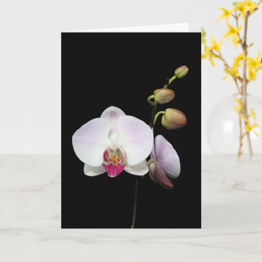 "Phalaenopsis-" Karte (Gelbe Blume)