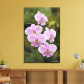 Phalaenopsis Leinwanddruck (Insitu (Wohnzimmer))