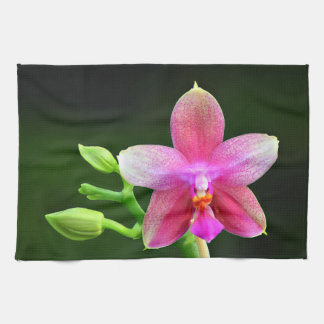 Phalaenopsis liodoro Küchenhandtuch 40,6cm x 61cm Geschirrtuch