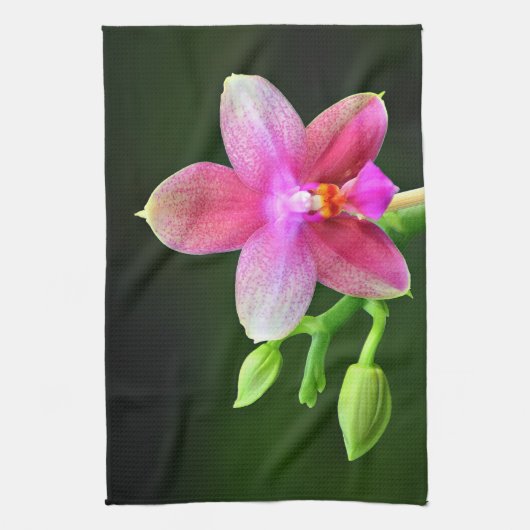Phalaenopsis liodoro Küchenhandtuch 40,6cm x 61cm Geschirrtuch (Vertikal)