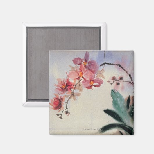 Phalaenopsis Magnet (Vorderseite/Rückseite)