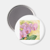 Phalaenopsis Orchid-Blume - Multi Magnet (Vorderseite/Rückseite)