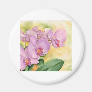 Phalaenopsis Orchid-Blume - Multi Magnet