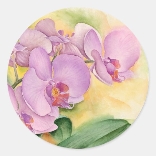 Phalaenopsis Orchid-Blume - Multi Runder Aufkleber (Vorderseite)