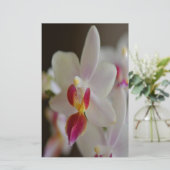 Phalaenopsis Orchid Briefpapier (Stehend Vorderseite)