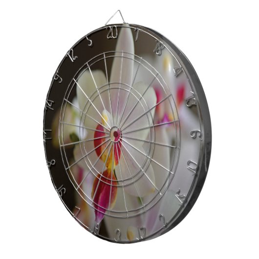 Phalaenopsis Orchid Dartscheibe (Vorderseite rechts)