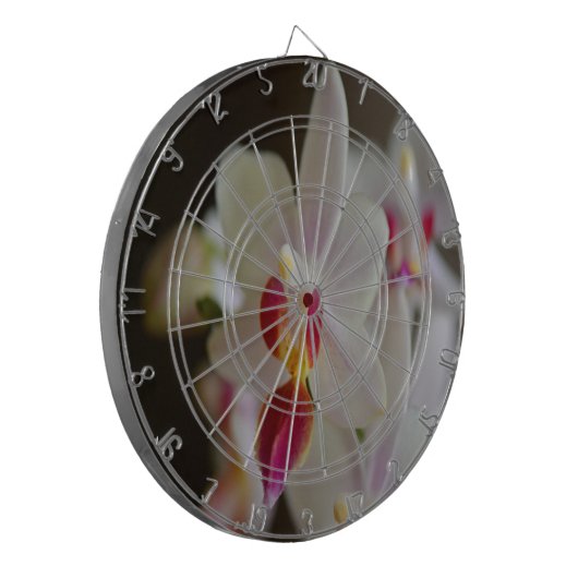 Phalaenopsis Orchid Dartscheibe (Vorderseite Links)