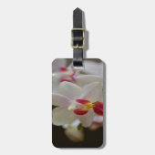 Phalaenopsis Orchid Gepäckanhänger (Vorderseite vertikal)