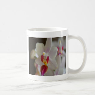 Phalaenopsis Orchid Kaffeetasse