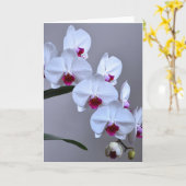 Phalaenopsis Orchid Karte (Gelbe Blume)