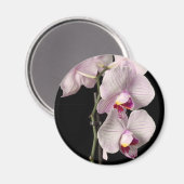 Phalaenopsis orchid magnet (Vorderseite/Rückseite)