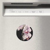 Phalaenopsis orchid magnet (In Situ (Geschirrspüler))