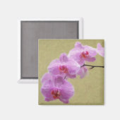 Phalaenopsis Orchid Magnet (Vorderseite/Rückseite)