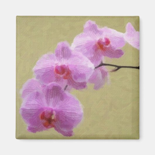 Phalaenopsis Orchid Magnet (Vorne)