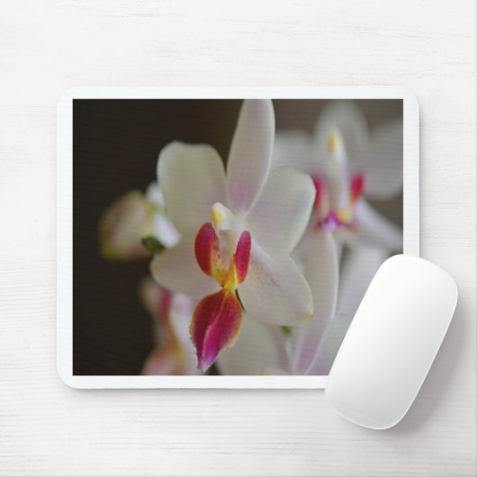 Phalaenopsis Orchid Mousepad (Mit Mouse)
