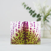 Phalaenopsis Orchid Postkarte (Stehend Vorderseite)