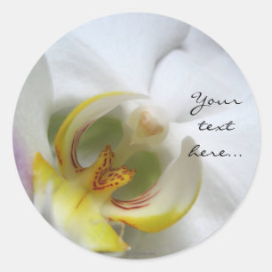 Phalaenopsis Orchid Wedding Einladung Siegel Runder Aufkleber